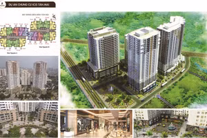 Phú Châu Wood Factory: Giải pháp cửa chống cháy đạt chuẩn, kiến tạo an toàn cho công trình hiện đại