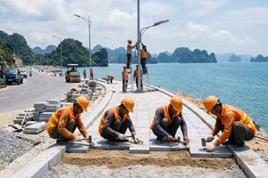 Gói thầu chỉnh trang vỉa hè và điện đường tỉnh lộ 334 hơn 186,98 tỷ đồng về tay liên danh 6 thành viên