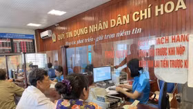 Năm 2026 - 2027, sẽ có 2 đợt thí điểm phá sản 23 quỹ tín dụng nhân dân
