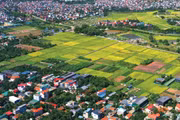 Một số địa phương gặp khó khăn, vướng mắc khi thực thi quy định về giao đất, cho thuê đất không thông qua đấu giá quyền sử dụng đất, đấu thầu lựa chọn nhà đầu tư thực hiện dự án có sử dụng đất. Ảnh: Chiến Khôi
