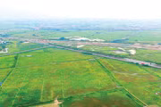 Nhiều dự án đầu tư kinh doanh mở thầu trong tháng 7 và tháng 8/2026 có 3 nhà đầu tư đăng ký tham gia. Ảnh: Lê Tiên