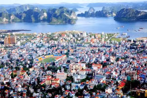 Ngày 6/8/2026, đấu giá quyền sử dụng đất tại phường Cửa Ông, tỉnh Quảng Ninh