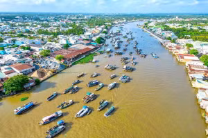 Ngày 8/9/2026, đấu giá quyền sử dụng đất tại phường Cái Răng, thành phố Cần Thơ
