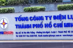 Ngày 14/10/2026, đấu giá lô tài sản hư hỏng, không có nhu cầu sử dụng, thanh lý đợt 08/2026 của Tổng công ty Điện lực TPHCM TNHH