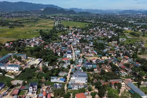 Ngày 26/9/2026, đấu giá quyền thuê đất nông nghiệp công ích trên địa bàn xã Xuân Mai, TP. Hà Nội
