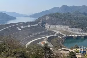 Ngày 8/9/2026, đấu giá vật tư thường thu hồi sau sửa chữa và có yếu tố chất thải nguy hại của Công ty Thủy Điện Hòa Bình