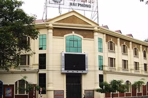Ngày 21/10/2026, đấu giá tài sản, vật tư thiết bị của Công ty Điện lực Hải Phòng