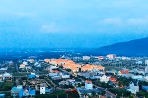 Ngày 14/9/2026, đấu giá quyền sử dụng đất tại phường Phước Bình, thành phố Đồng Nai