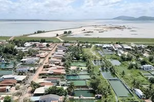 Ngày 25/9/2026, đấu giá quyền sử dụng đất tại Xã Cầu Khởi, tỉnh Tây Ninh