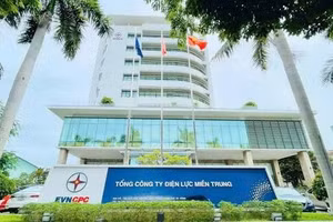 Ngày 11/9/2026, đấu giá lô xe ô tô đã qua sử dụng của Công ty Điện lực Gia Lai