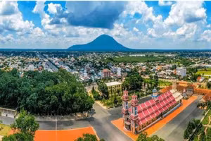 Ngày 20/10/2026, đấu giá các quyền sử dụng đất và tài sản trên đất tại phường Khánh Hậu và xã Thủ Thừa, tỉnh Tây Ninh