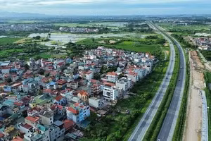 Ngày 31/10/2026, đấu giá quyền sử dụng đất tại xã Thư Lâm, thành phố Hà Nội