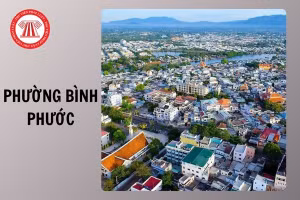 Ngày 31/8/2026, đấu giá quyền sử dụng đất tại phường Bình Phước, TP. Đồng Nai và xã Thái Mỹ, TP.HCM