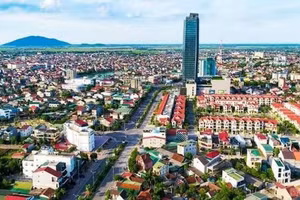 Ngày 6/11/2026, đấu giá vật tư, vật liệu thu hồi từ việc tháo dỡ tài sản trên đất thu hồi tại khu phố 7, phường Tân Ninh, tỉnh Tây Ninh