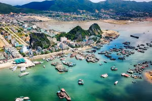 Ngày 16/10/2026, đấu giá quyền sử dụng đất tại đặc khu Vân Đồn, thành phố Quảng Ninh