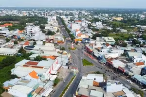 Ngày 15/10/2026, đấu giá các quyền sử dụng đất tại xã Đức Lập, xã Hoà Khánh và xã Cần Giuộc, tỉnh Tây Ninh