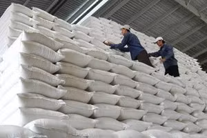 Ngày 29/10/2026, đấu giá Gạo dự trữ quốc gia nhập kho đợt 1 năm 2025