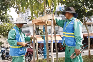 Hai gói thầu chăm sóc, bảo dưỡng công viên, cây xanh trên địa bàn phường Bình Tân (TP.HCM) giai đoạn 2026 - 2030 có tổng giá trị hơn 44 tỷ đồng