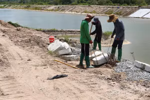 Tại nhiều gói thầu xây lắp, Công ty CP Tư vấn xây dựng Đạt Thành không có đối thủ cạnh tranh, hoặc đối thủ bị loại từ sớm. Ảnh minh họa: Phúc An
