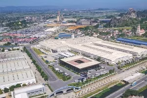 Ngày 05/11/2026, đấu giá 03 quyền sử dụng đất và tài sản gắn liền với đất tại tỉnh Ninh Bình