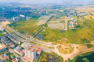 Ngày 11/9/2026, đấu giá quyền sử dụng đất tại xã Cẩm Lý, tỉnh Bắc Ninh