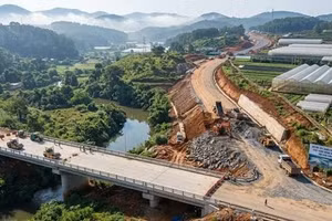 Ngày 29/08/2026, đấu giá quyền sử dụng đất tại xã Lưu Vệ, tỉnh Thanh Hóa