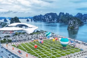 Ngày 09/09/2026, đấu giá quyền sử dụng đất và tài sản gắn liền với đất tại phường Móng Cái 1, tỉnh Quảng Ninh
