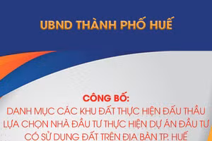 Danh mục các khu đất thực hiện đấu thầu lựa chọn nhà đầu tư thực hiện dự án đầu tư có sử dụng đất trên địa bàn TP. Huế