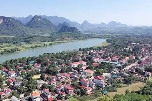 Ngày 27/8/2026, đấu giá quyền sử dụng đất và tài sản gắn liền với đất tại phường Sầm Sơn, tỉnh Thanh Hóa