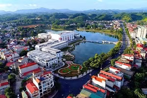 Ngày 14/10/2026, đấu giá quyền sử dụng đất tại phường Yên Bái, tỉnh Lào Cai