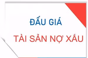 Ngày 05/11/2026, đấu giá khoản nợ của Công ty TNHH XNK Nhất Nguyên tại Agribank CN Chợ Lớn
