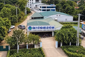 Theo Báo cáo tài chính bán niên năm 2026, Dược liệu Việt Nam có tổng tài sản 1.364 tỷ đồng, trong đó nợ vay và thuê tài chính ở mức hơn 480 tỷ đồng. Ảnh: NM 