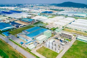 Ngày 06/11/2026, đấu giá quyền sử dụng đất và tài sản gắn liền với đất tại xã Tam Đa, thành phố Bắc Ninh