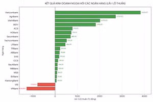 Kết quả kinh doanh ngoại hối các ngân hàng 6 tháng đầu năm 2026. Nguồn: BCTC các ngân hàng