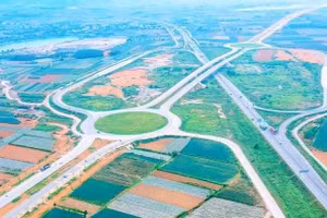 Ngày 07/10/2026, đấu giá quyền sử dụng đất tại xã Giao Ninh, tỉnh Ninh Bình