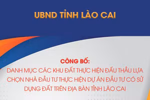 Danh mục các khu đất thực hiện đấu thầu lựa chọn nhà đầu tư thực hiện dự án đầu tư có sử dụng đất trên địa bàn tỉnh Lào Cai