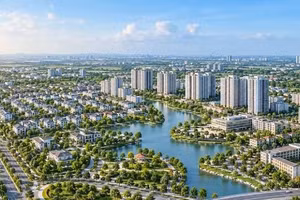 Ngày 30/10/2026, đấu giá quyền sử dụng đất tại phường Long An, tỉnh Tây Ninh