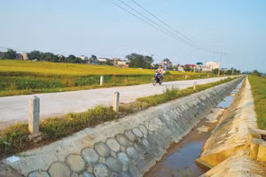 Việc xác định tính "tương tự" của hợp đồng dựa trên loại và cấp công trình. Ảnh: Lê Chiến Khôi