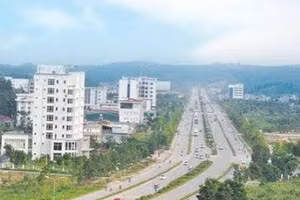 Ngày 24/08/2026, đấu giá quyền sử dụng thửa đất tại phường Cam Đường, tỉnh Lào Cai