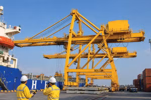 Nhà thầu cho rằng, việc đáp ứng tiêu chí kinh nghiệm cung cấp ít nhất 3 cổng trục có sức nâng từ 800 tấn trở lên là rất khó. Ảnh minh họa: Trần Sơn