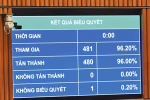 Quốc hội biểu quyết thông qua Nghị quyết về giảm thuế thu nhập cá nhân, thuế thu nhập doanh nghiệp đối với cá nhân và doanh nghiệp. Ảnh: Quang Khánh