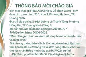 Công ty cổ phần Vật tư - TKV thông báo mời chào giá đơn hàng DG06-2026 
