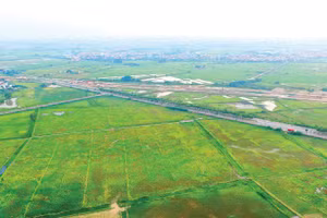 Nhiều dự án đầu tư kinh doanh mở thầu trong tháng 7 và tháng 8/2026 có 3 nhà đầu tư đăng ký tham gia. Ảnh: Lê Tiên