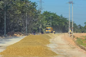 Một số gói thầu yêu cầu đơn vị cung cấp vật tư, vật liệu xây dựng thông thường cho nhà thầu phải có kinh nghiệm thực hiện hợp đồng tương tự. Ảnh: Chiến Thắng