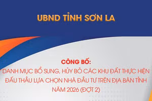 Danh mục bổ sung, hủy bỏ các khu đất thực hiện đấu thầu lựa chọn nhà đầu tư trên địa bàn tỉnh năm 2026 (đợt 2)