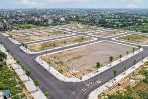 Ngày 08/10/2026, đấu giá quyền sử dụng đất tại xã Thạch Thất, TP. Hà Nội