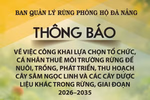 Ban Quản lý rừng phòng hộ Đà Nẵng thông báo