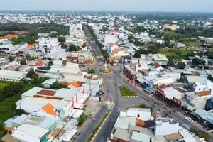 Ngày 14/10/2026, đấu giá quyền sử dụng đất tại xã Cần Đước, tỉnh Tây Ninh
