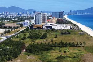 20 năm sau ngày được cấp chứng nhận đầu tư, bên trong bức tường bao quanh Dự án Hòn Ngọc Á Châu vẫn chưa có hạng mục nào được xây dựng. Ảnh: Hà Minh