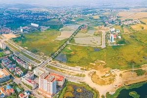 Ngày 10/10/2026, đấu giá quyền sử dụng đất tại phường Nam Sơn, TP. Bắc Ninh